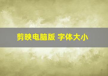 剪映电脑版 字体大小